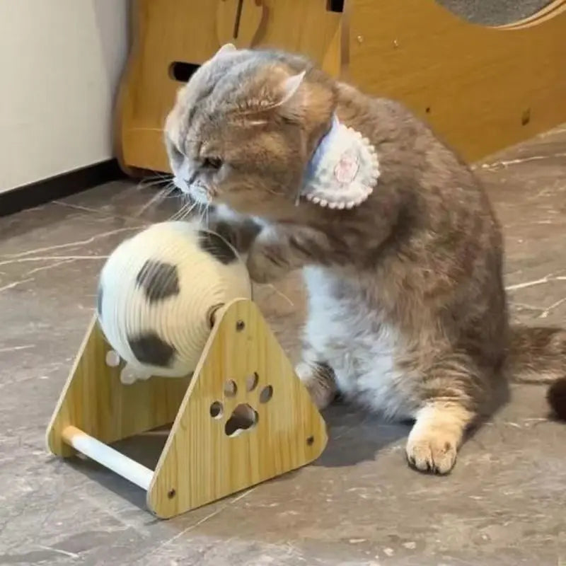 Mini Football Cat Exercise Training Toy Stand